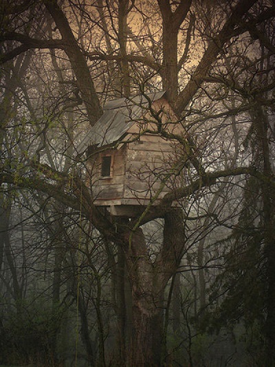 I-think-my-treehouse-is-haunted