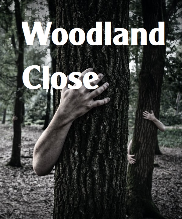 The Haunting at 9 Woodland Close